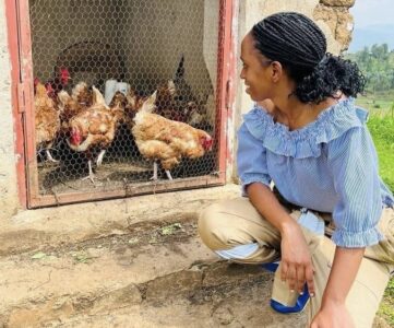 Local Wonders: Navigating the Challenges of Poultry Farming in Rural Nigeria