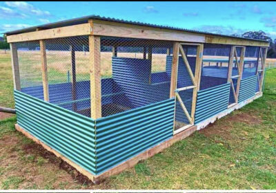 How to construct a poultry house 