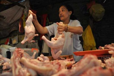 Local Wonders: Navigating the Challenges of Poultry Farming in Rural Nigeria