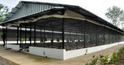 How to construct a poultry house 